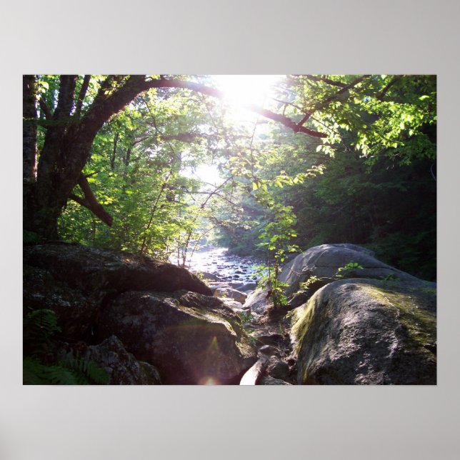 Sculptured Rocks Poster (Front)