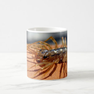 Scutigera coleoptrata Bug Mug