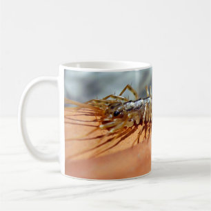 Scutigera Coleoptrata Bug Mug