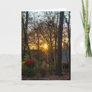 Sdc Woods Sunset Card