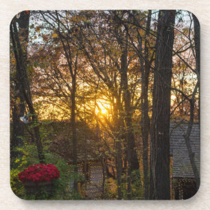 Sdc Woods Sunset Coaster