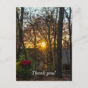 Sdc Woods Sunset Postcard