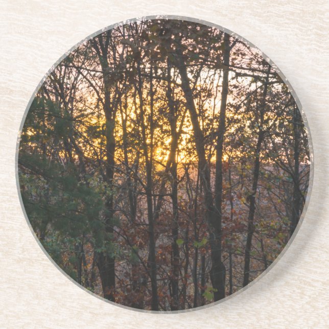 SDC Woody Sunset Coaster (Front)