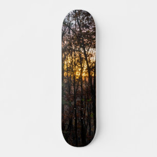SDC Woody Sunset Skateboard