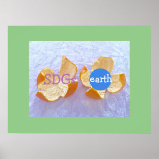 SDGs 地球環境　自然体     Poster
