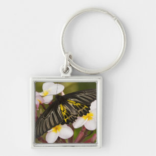 SE Asia, Thailand, Khon Kaen Keychain