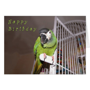 Se précipiter le diable