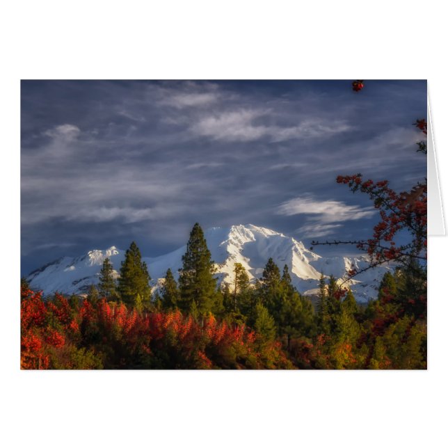 Se réveiller (Devant horizontal)