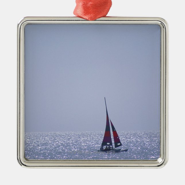 Sea 23 metal ornament (Front)