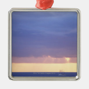 Sea 4 metal ornament