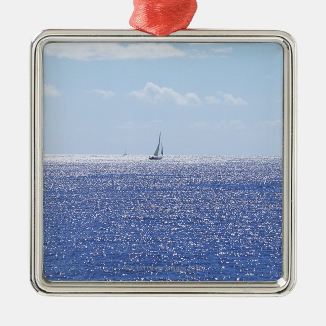 Sea 6 metal ornament (Front)