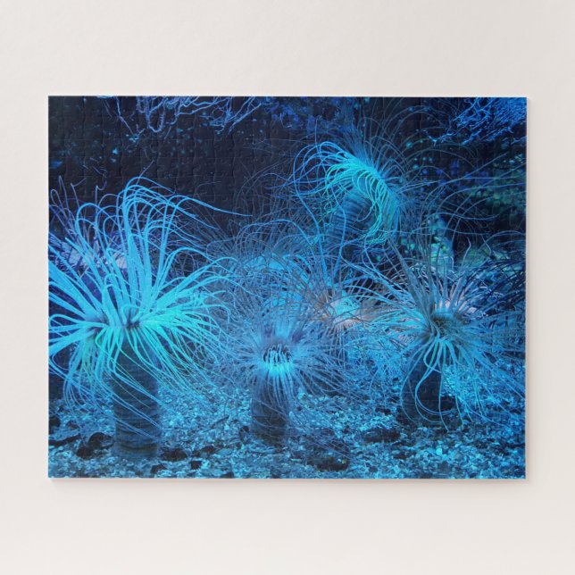 Sea Anemone and Coral Reef Jigsaw Puzzle (Horizontal)