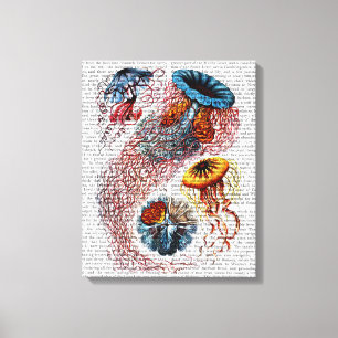 Sea Anemone Canvas Print