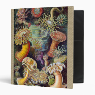 Sea Anemone Scientific Nature Ocean Binder