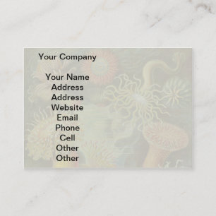 Sea Anemone Scientific Nature Ocean Business Card