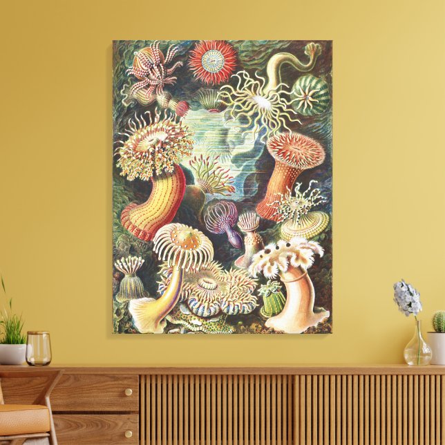 Sea Anemone Scientific Nature Ocean Canvas Print (Insitu(LivingRoom))