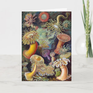 Sea Anemone Scientific Nature Ocean Card