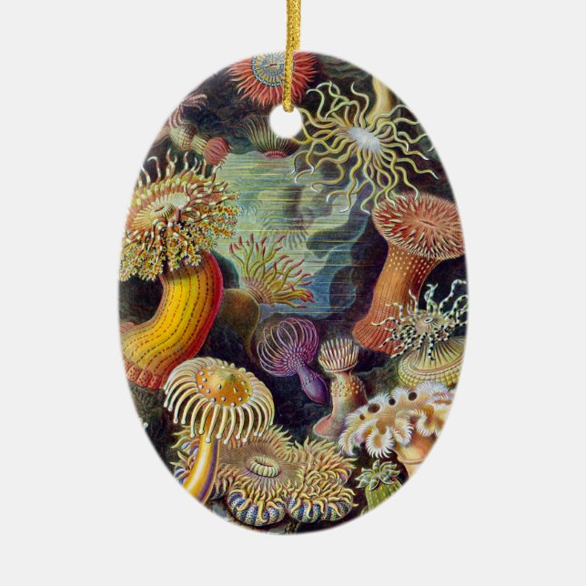 Sea Anemone Scientific Nature Ocean Ceramic Ornament (Front)