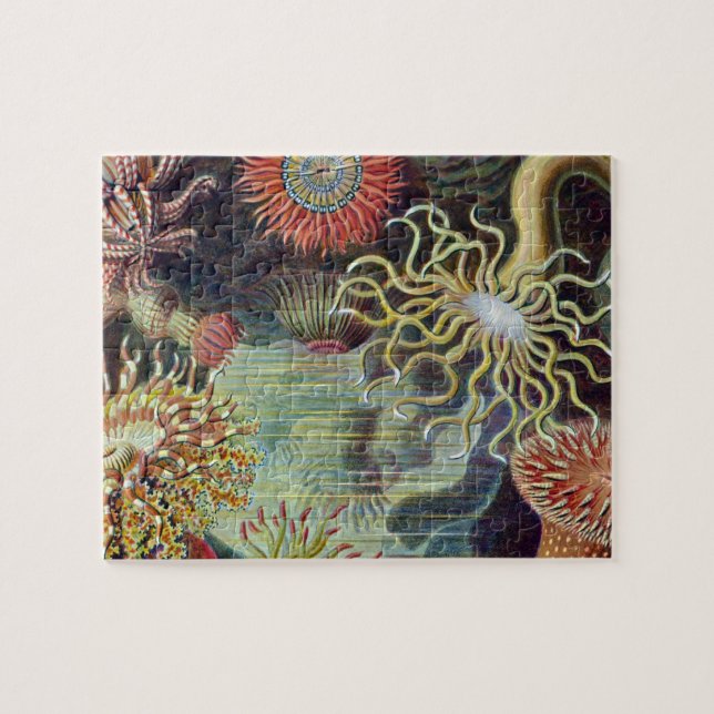 Sea Anemone Scientific Nature Ocean Jigsaw Puzzle (Horizontal)