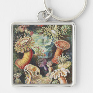Sea Anemone Scientific Nature Ocean Keychain