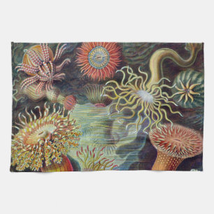 Sea Anemone Scientific Nature Ocean Kitchen Towel