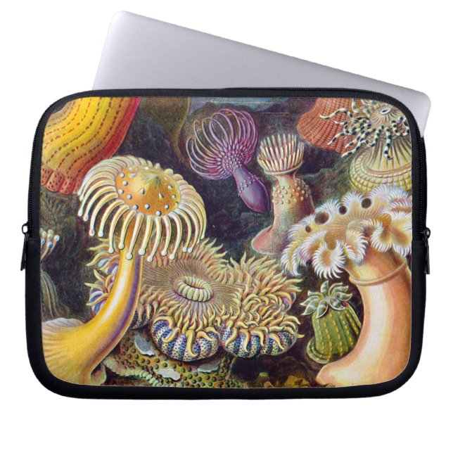 Sea Anemone Scientific Nature Ocean Laptop Sleeve (Front)