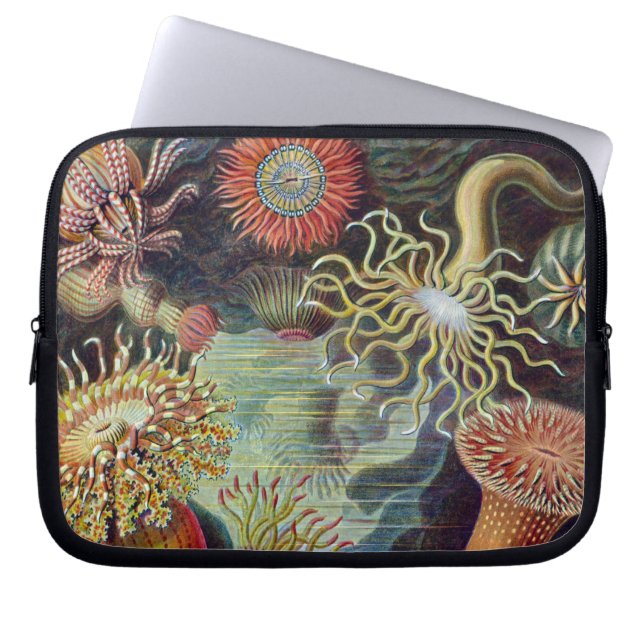 Sea Anemone Scientific Nature Ocean Laptop Sleeve (Front)