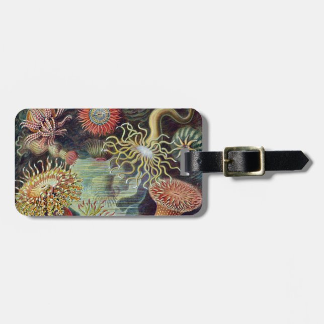 Sea Anemone Scientific Nature Ocean Luggage Tag (Front Horizontal)