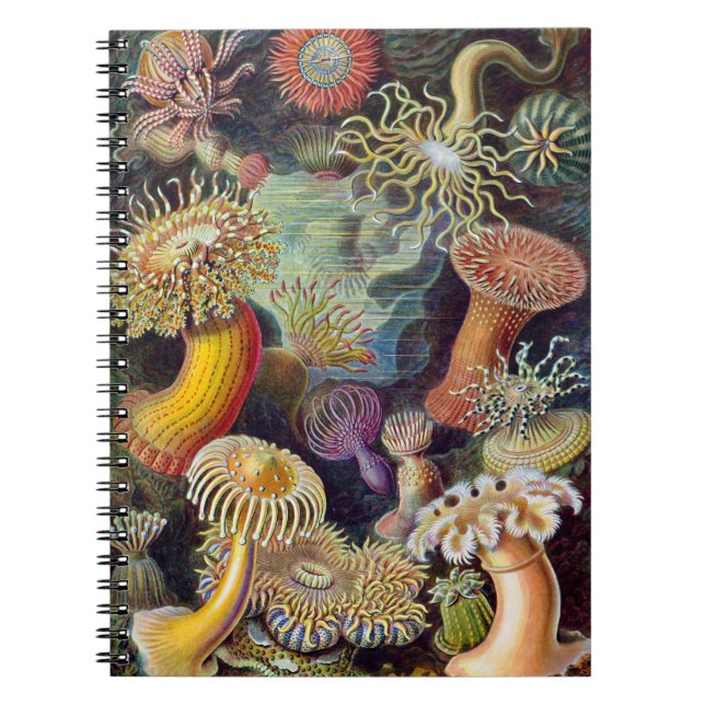 Sea Anemone Scientific Nature Ocean Notebook (Front)