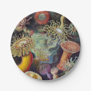 Sea Anemone Scientific Nature Ocean Paper Plate
