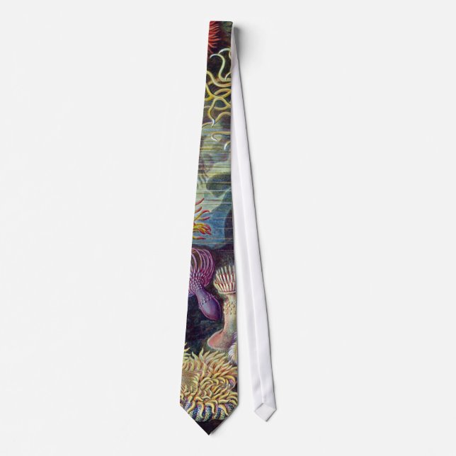 Sea Anemone Scientific Nature Ocean Tie (Front)