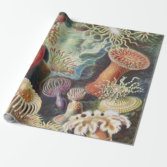 Sea Anemone Scientific Nature Ocean Wrapping Paper (Unrolled)