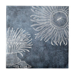 Sea Anemone Watercolor Twilight Ocean Blue White Tile