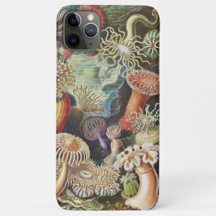 Sea Anemones, Actiniae Seeanemonen Ernst Haeckel iPhone 11 Pro Max Case