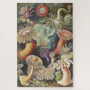 Sea Anemones, Actiniae Seeanemonen Ernst Haeckel Jigsaw Puzzle