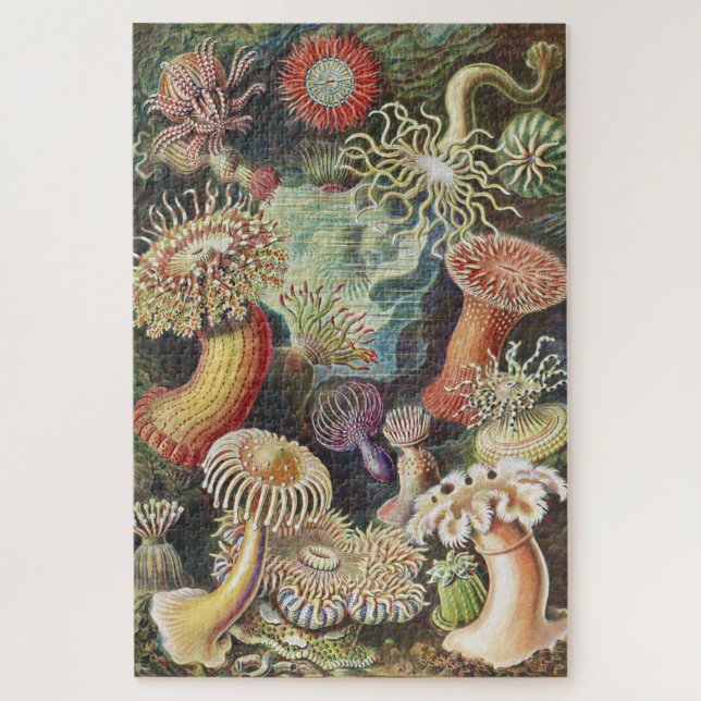 Sea Anemones, Actiniae Seeanemonen Ernst Haeckel Jigsaw Puzzle (Vertical)