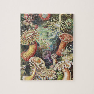 Sea Anemones, Actiniae Seeanemonen Ernst Haeckel Jigsaw Puzzle