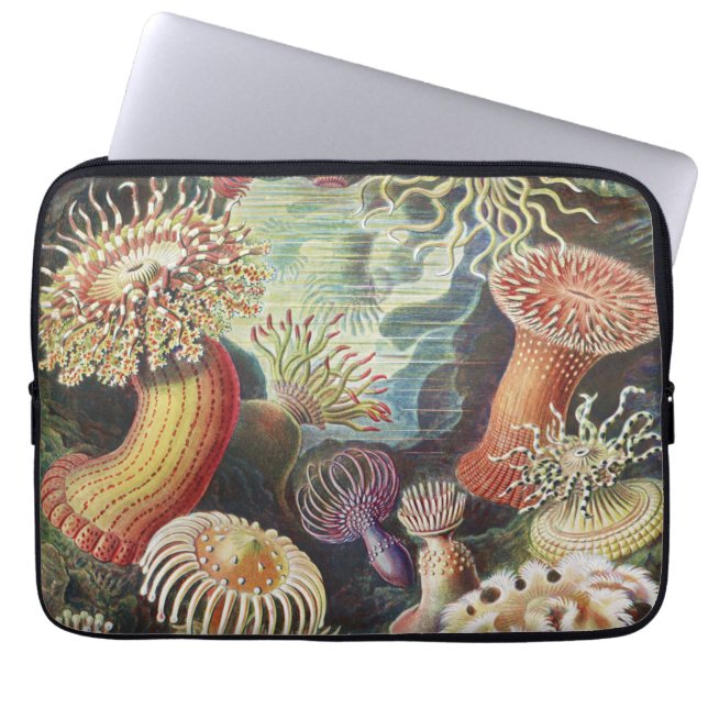 Sea Anemones, Actiniae Seeanemonen Ernst Haeckel Laptop Sleeve (Front)