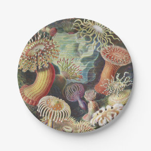 Sea Anemones, Actiniae Seeanemonen Ernst Haeckel Paper Plate