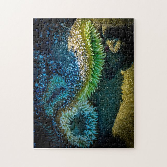 Sea anemones at Cox Bay, Tofino, BC (Canada) Jigsaw Puzzle (Vertical)