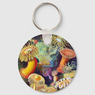 Sea Anemones Ernst Haeckel Fine Art Keychain