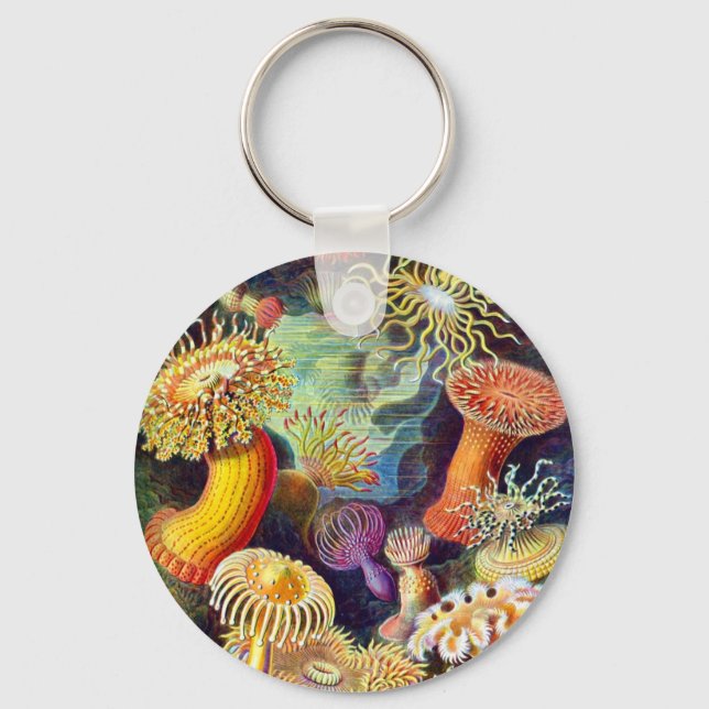Sea Anemones Ernst Haeckel Fine Art Keychain (Front)