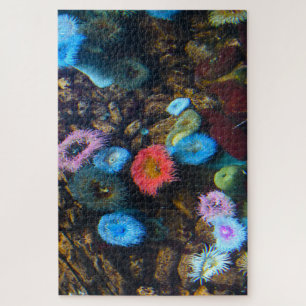 Sea Anemones. Jigsaw Puzzle