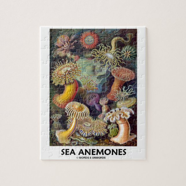 Sea Anemones Jigsaw Puzzle (Vertical)