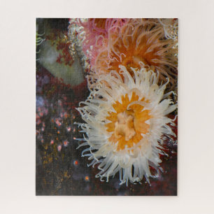 Sea Anemones. Jigsaw Puzzle