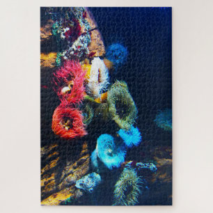 Sea Anemones. Jigsaw Puzzle