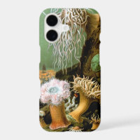 Sea Anemones Marine Life, Vintage Ocean Animals