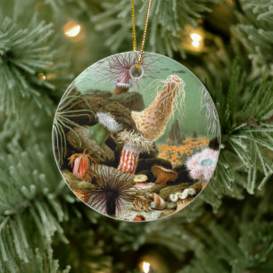 Sea Anemones Marine Life, Vintage Ocean Animals Ceramic Ornament