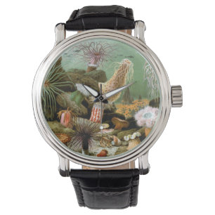 Sea Anemones Marine Life, Vintage Ocean Animals Watch