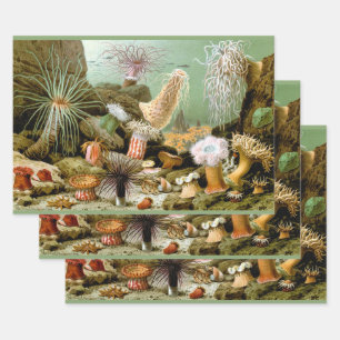 Sea Anemones Marine Life, Vintage Ocean Animals Wrapping Paper Sheet